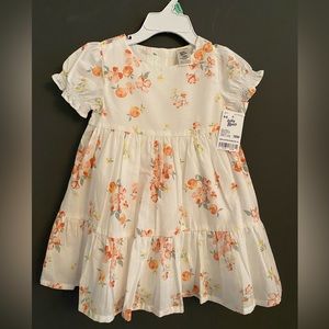 Baby Oshkosh Bgosh - NWT Baby Girl Dress - Size 18m